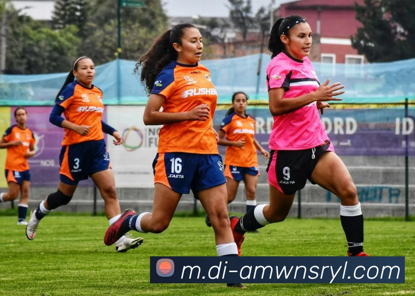 辅助工具 辅助工具